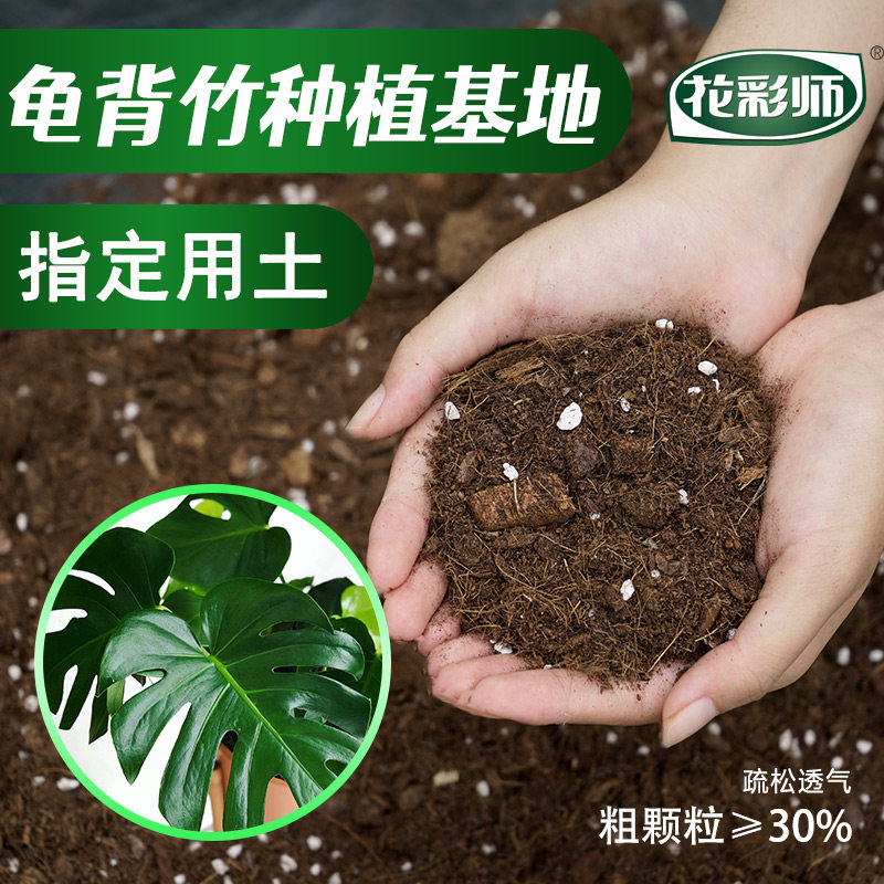 虹越花彩师龟背竹专用土观叶推荐图片