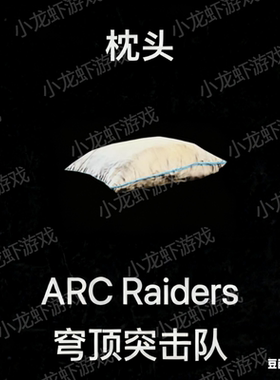 ARC Raiders枕头Very Comfortable Pillow