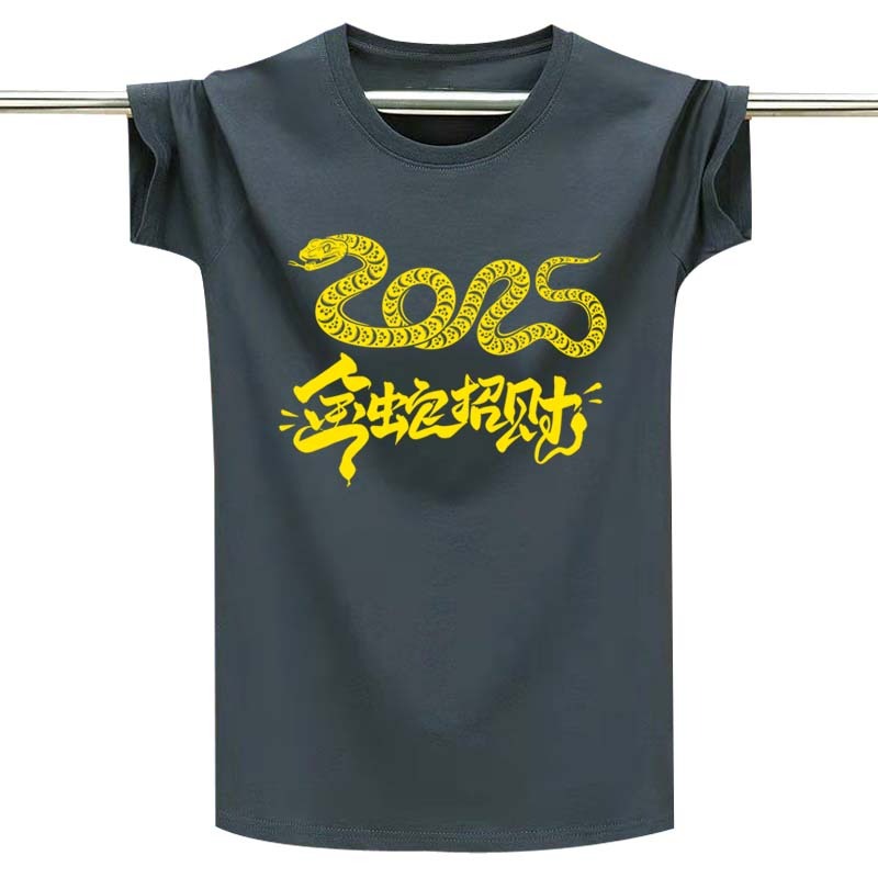 2025休闲韩版轻奢短袖衫男简约同款透气上衣秋款防晒圆领大码印花