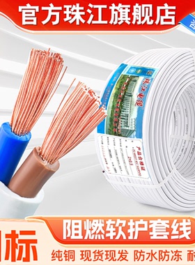 珠江旗舰店国标纯铜白色扁平行护套线2芯0.50.751.52.5平方电线缆