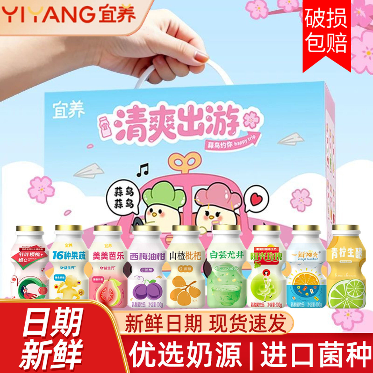 宜养乳酸菌饮品针叶樱桃乳酸喝的瓶装儿童解馋早餐益生元含乳饮料 - 实物图