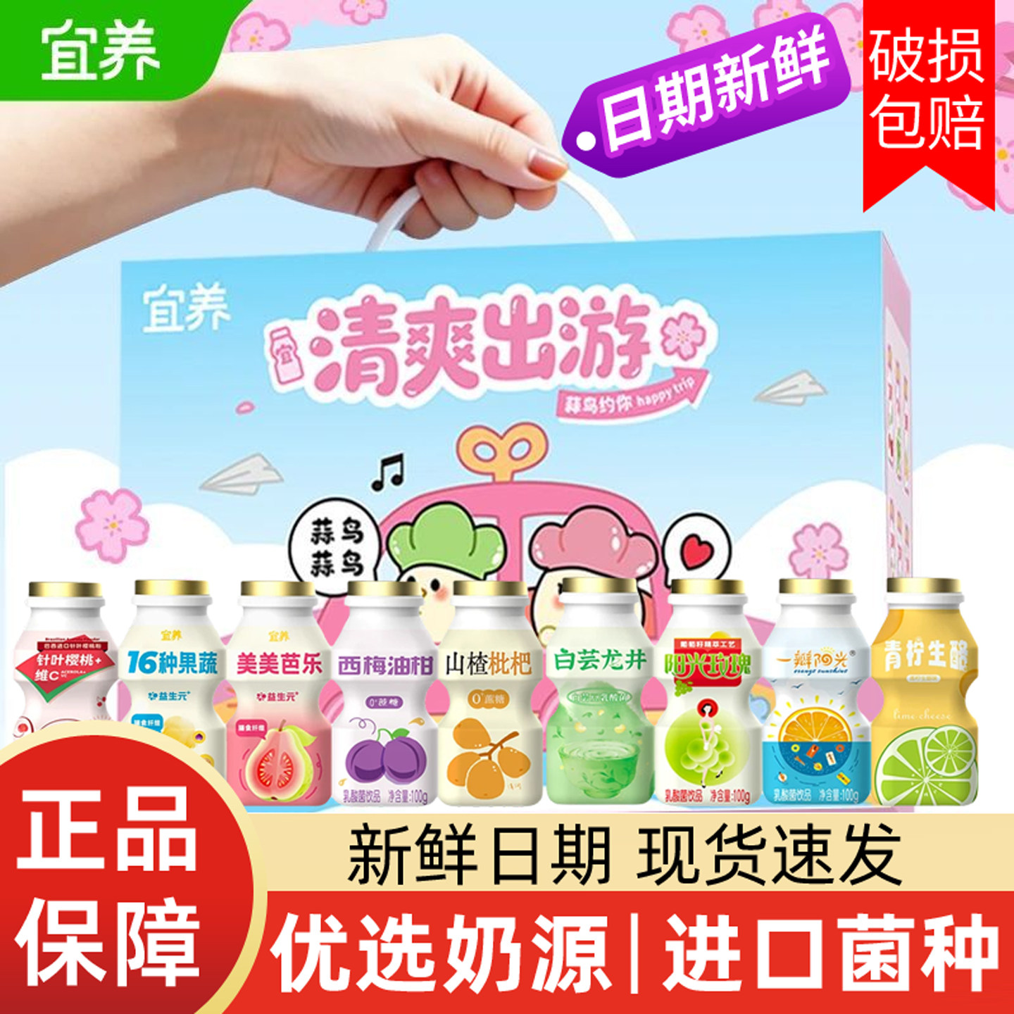 宜养乳酸菌饮品针叶樱桃乳酸喝的瓶装儿童解馋早餐益生元含乳饮料 - 实物图