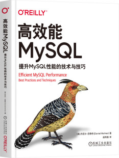 访问模式 包邮 丹尼尔尼希特 正版 服务器指标 机械工业出版 提升MySQL性能 数据漂移 高效能MySQL 社 技术与技巧 复制延迟 索引