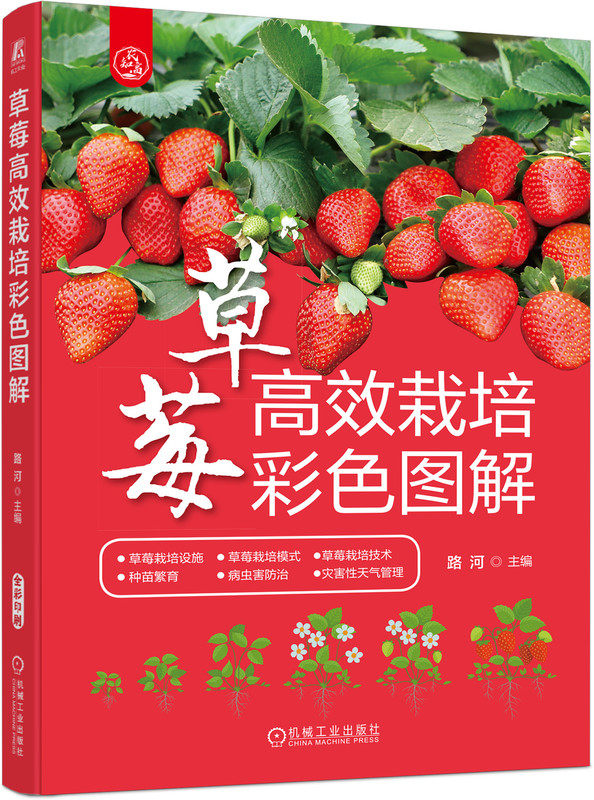 草莓高效栽培彩色图解 路河 栽培设施 日光温室 塑料大棚 水培 品种 土壤改良 填闲作物  整地 施肥 基肥 旋耕 做畦