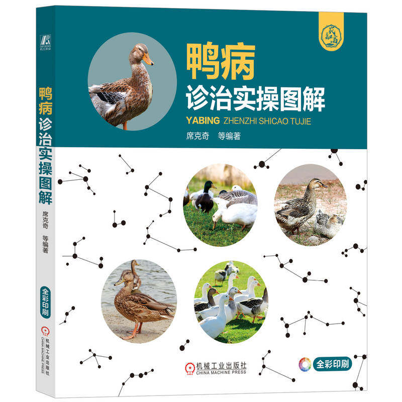 鸭病诊治实操图解 席克奇 看图识病 类症鉴别 诊治 感染 菌性传染病 寄生虫病 营养代谢 中毒 痛风 脂肪肝 热射病