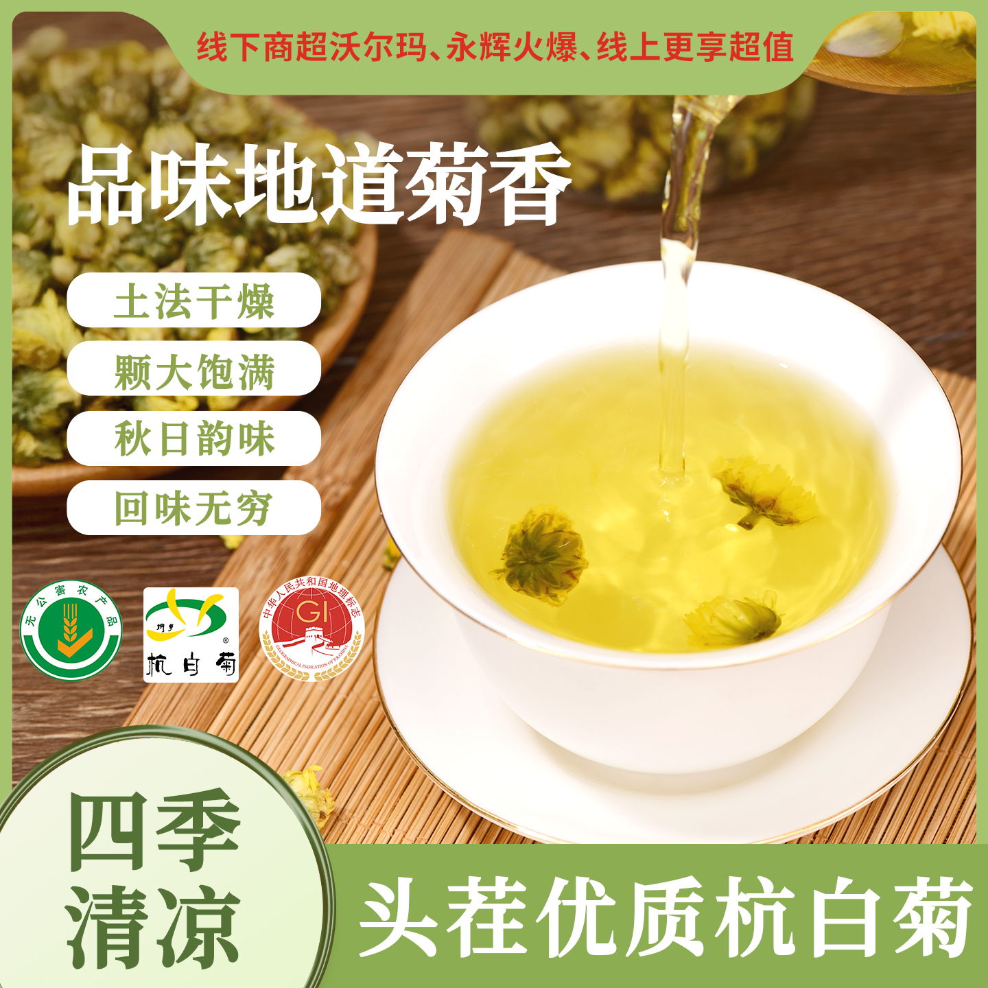 特级降火桐乡胎菊杭白菊茶