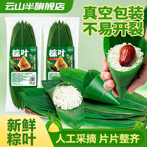 云山半粽叶新鲜粽子叶
