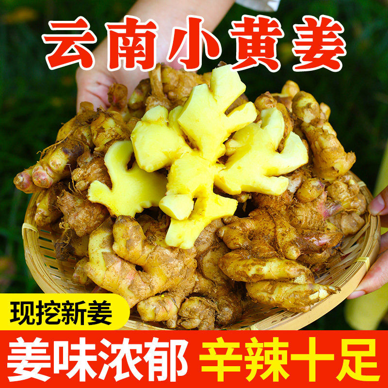 小鸡快跑国语