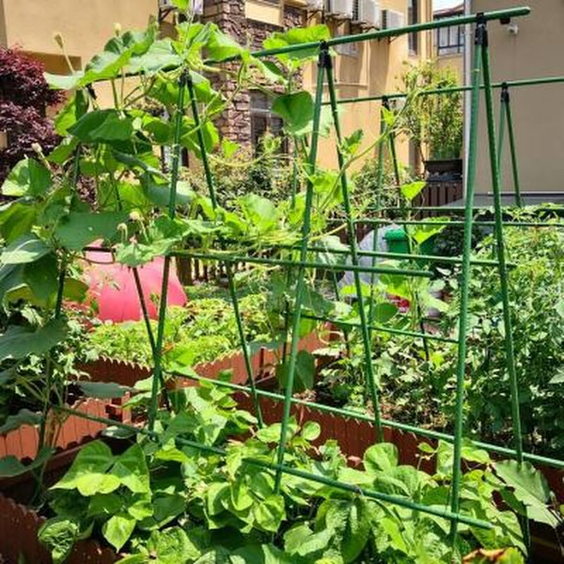 西瓜爬藤架种菜专用架子黄瓜花架阳台室外花69025园葡萄丝瓜架网
