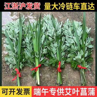 端午节艾草花束新鲜艾叶草手工diy材料香包驱蚊门挂菖蒲鲜花挂饰