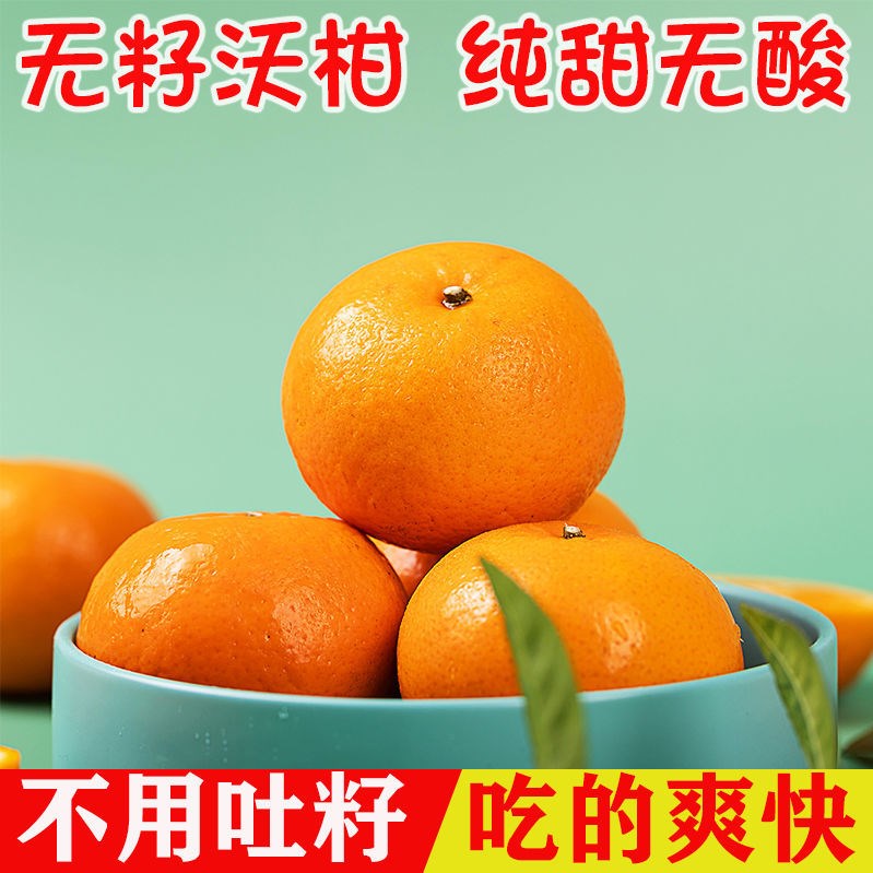 【无籽沃柑】橙上良品 正宗云南无籽沃柑贵妃柑5/9斤装