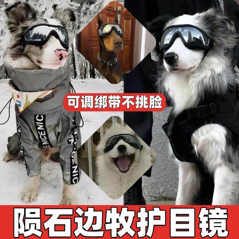 陨石边境牧羊犬狗狗护目镜防风抗UV头饰太阳眼镜中大型太阳眼镜宠