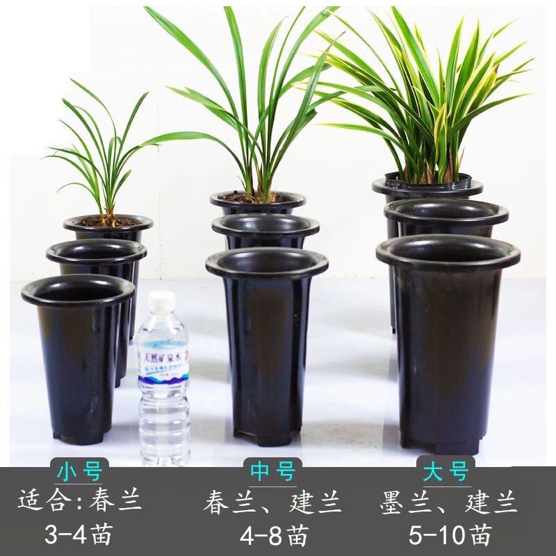 兰花专用塑料盆 大中花盆 国兰花苗蝴蝶兰石斛室内外绿植花卉盆栽