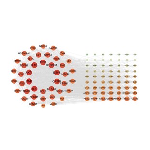 KEGG 网络药理学专业代做 PPI网络分析 分子对接 GO富集 中药复方