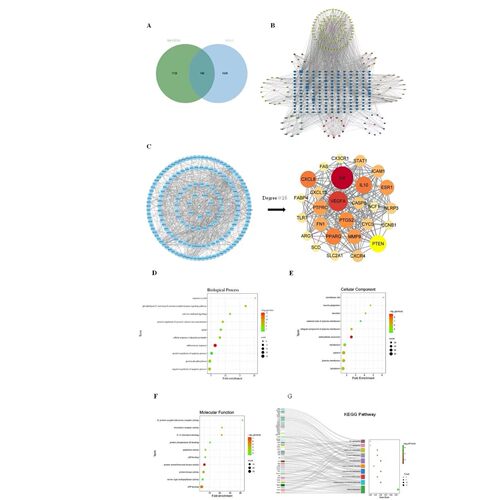R语言代码Rstudio绘图SCI科研生信医学桑基热图数据分析作图教程