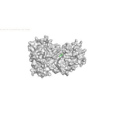 分子对接分子动力学模拟Autodock分子对接PyMOL可视化