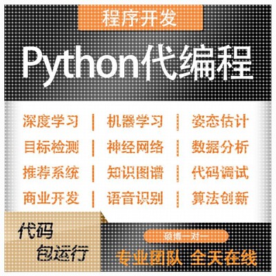 python代编程深度学习机器学习yolo目标检测算法创新人工智能指导