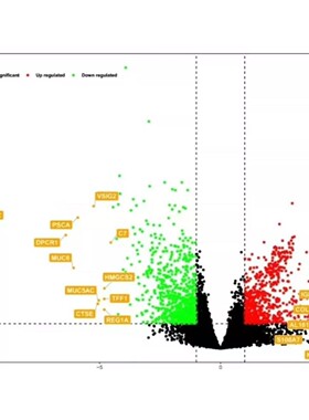 多组学联合网络药理学数据分析挖掘代谢组学脂质组python表观基因