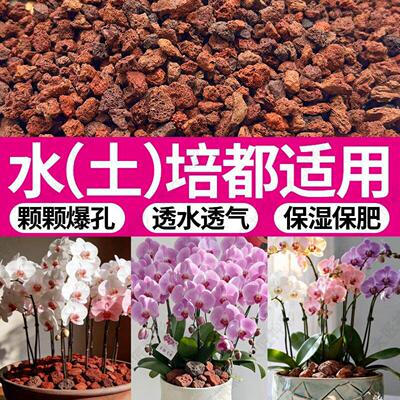 火山石小颗粒养花园艺蝴蝶兰花专用多肉铺面石水培植物鱼缸底砂石