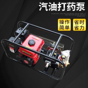 农用高压柱塞泵汽油打药机 三缸喷药泵果林喷雾器果园打药机