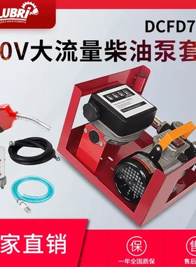 ACFD60220V电动柴油泵计量抽油泵关枪停机大流量加油泵总成电动铸