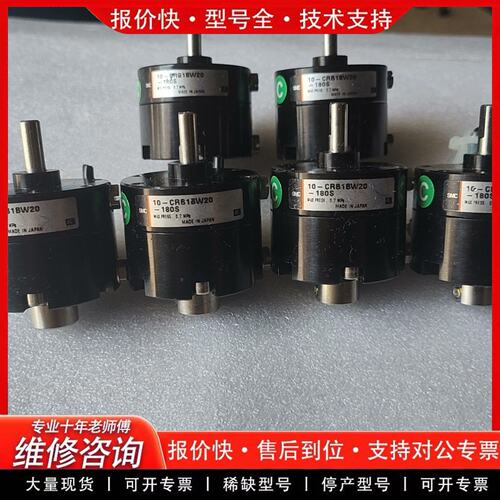 拍前议价旋转气缸10-RB1BW20-180S-S79L