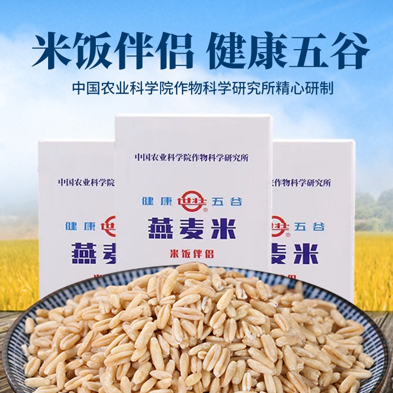 中国农科院世壮农科优品燕麦米莜麦500g谷物杂粮营养早餐五谷代餐