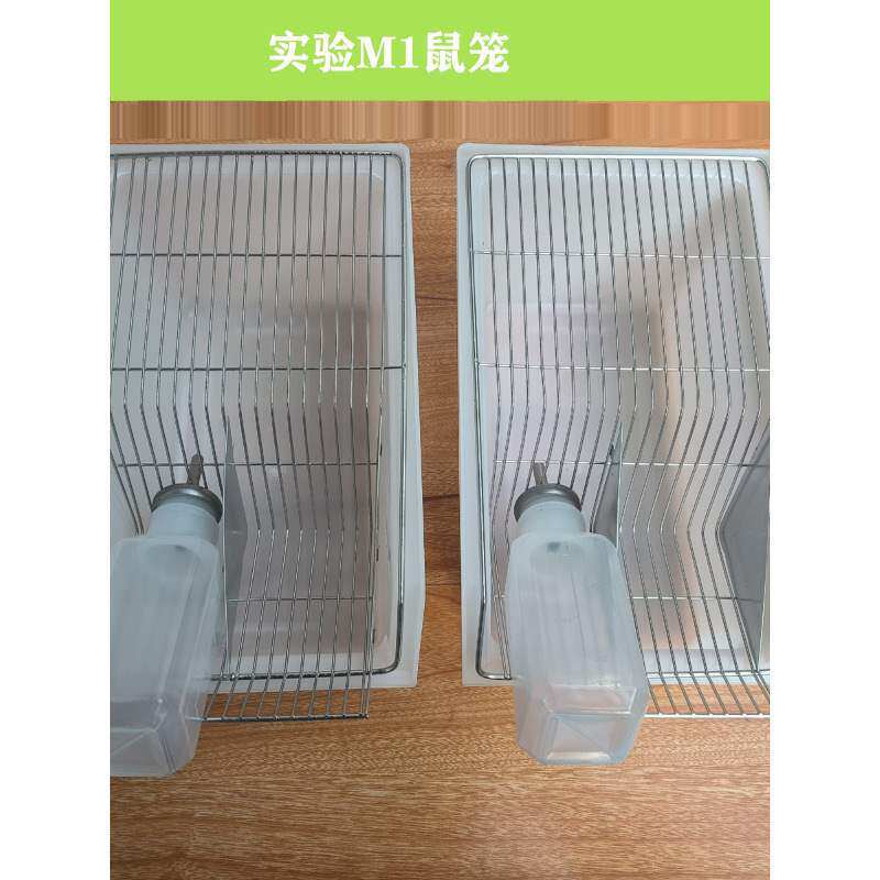 鼠笼实验小鼠饲养笼小白鼠花枝鼠大鼠笼子盒子繁殖笼盒繁育开票
