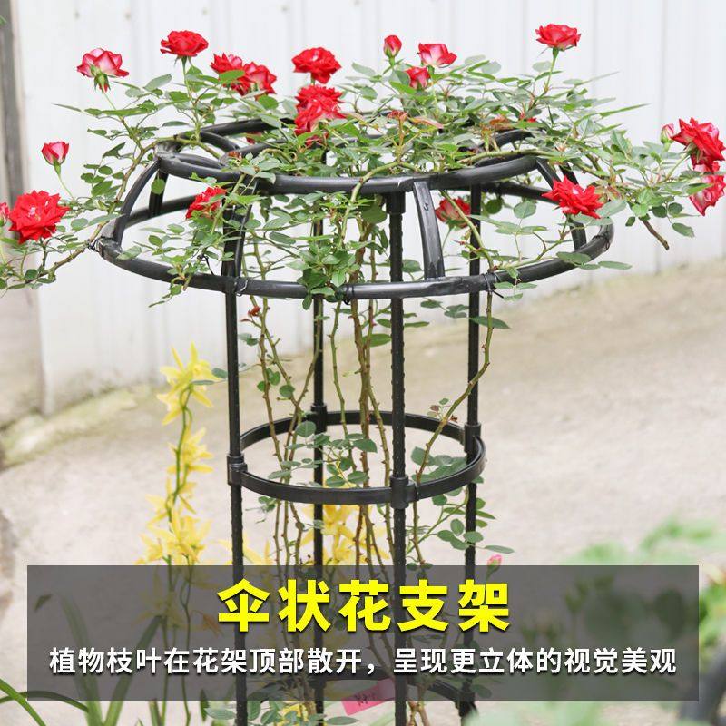 伞型花架爬藤架户外花卉攀爬架花支架月季铁线莲11mm管径支撑杆,鲜花速递/花卉仿真/绿植园艺,花架,淘宝优惠券,粉丝福利购,淘宝优惠卷