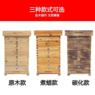 蜜蜂加厚邮土养蜂中蜂蜂箱全套方格子五层箱子包杉木箱全原木