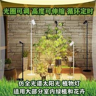 高度伸缩聚光多波段仿阳光全光谱室内家用定时植物补光鱼缸水草灯