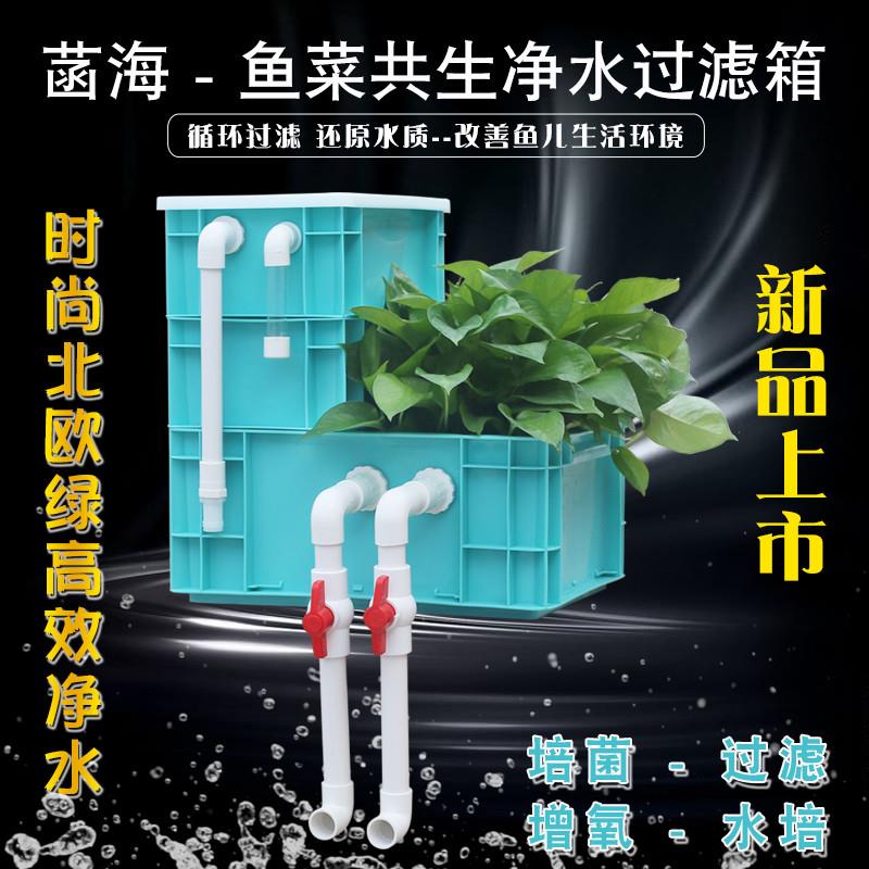 鱼缸水培周转箱过滤箱盒鱼池生态滤箱锦鲤池外置循环系统上置养花