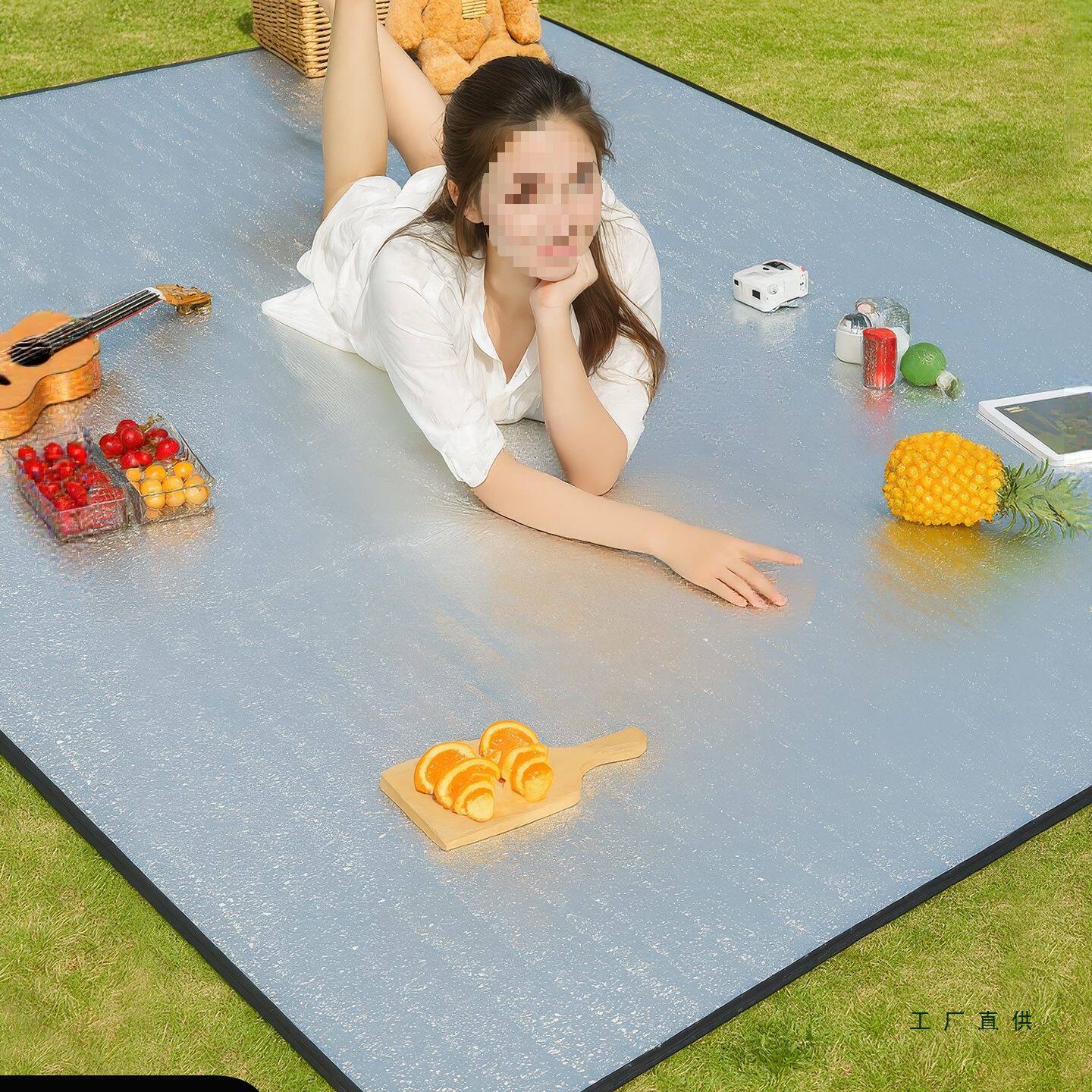 防潮垫野餐垫加厚户外露营3-4人帐篷内垫沙滩垫便携野炊防水地垫