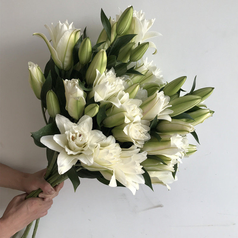 重瓣香水百合 水培亚百鲜花 好养花期长生日礼物家庭插花云南鲜花