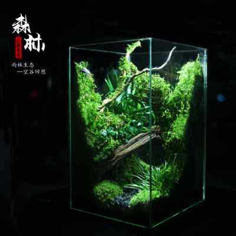 微缩景观生态缸雨林缸造景套餐苔藓生态瓶桌面盆栽茶台盆景成品