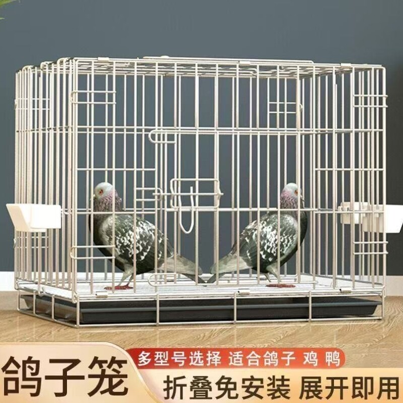 鸽舍折叠鸽棚免安装带天窗加粗鸽子笼空间笼笼大专用加厚