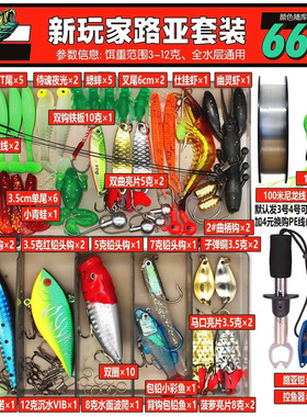 路亚新手一整套组合套装路亚全水层假鱼饵盒通用饵初学者亮片软饵