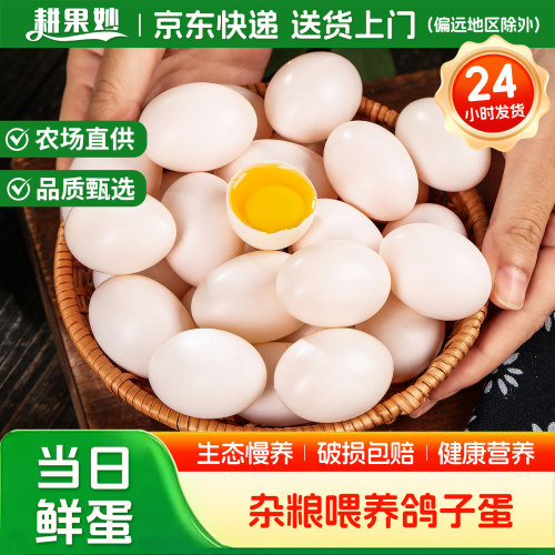 耕果妙新鲜鸽子蛋20/30枚