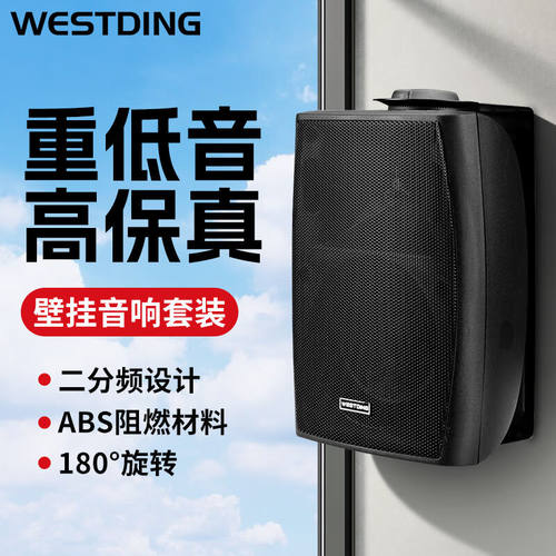 威斯汀（WESTDING）B04挂式音响音箱广播喇叭高保真HIFI壁挂式音