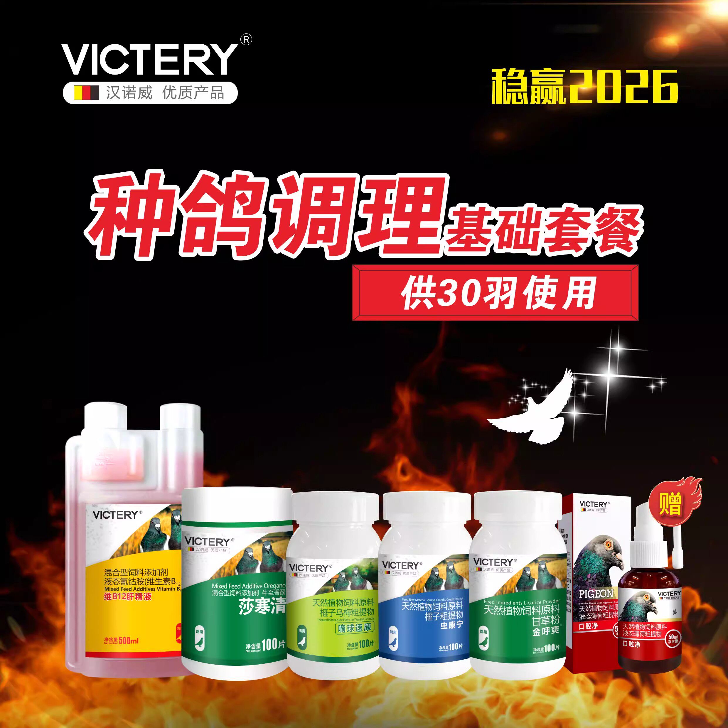 汉诺威种鸽调理套装呼吸道肠道种鸽清理全套