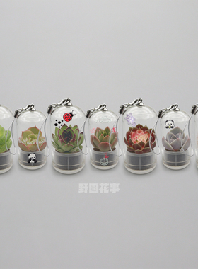 易活真多肉钥匙扣仙人球生态瓶迷你盆栽挂件绿植物微景观创意礼品