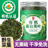 野生采集新鲜大叶 丙田有机蒲公英茶官方旗舰店正品 免洗去沙