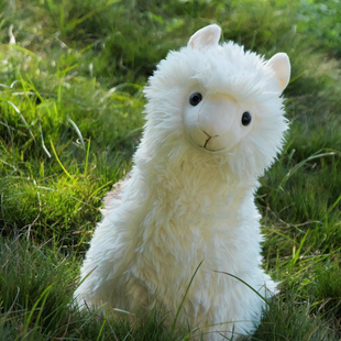 羊驼毛绒玩具陪伴玩偶治愈可爱温暖儿童礼物新款WILD REPUBLIC