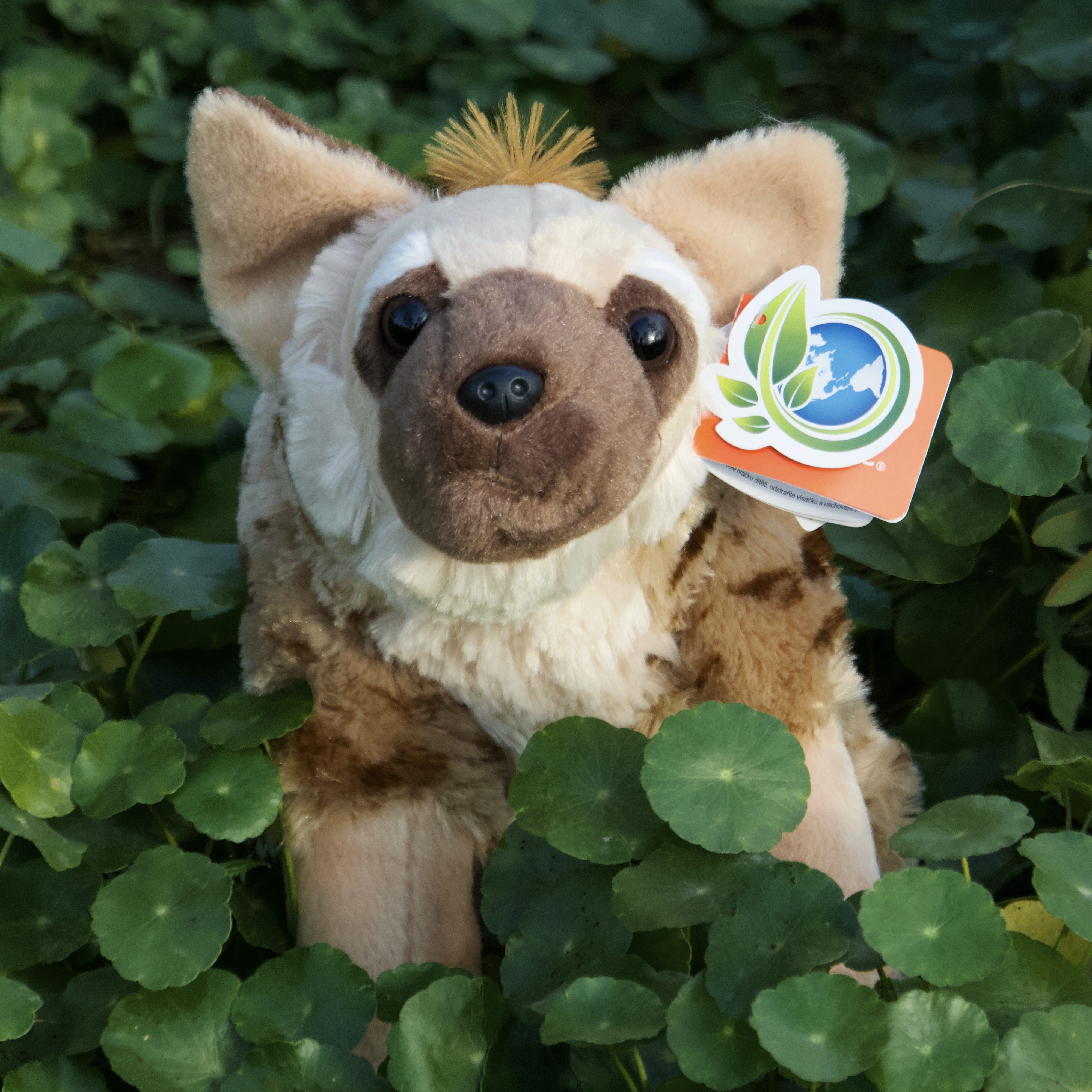 非洲鬣狗动物毛绒美国WildRepublic仿真玩偶生日礼物科普教具