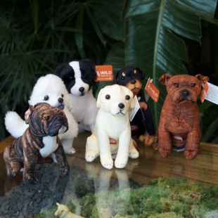 狗狗毛绒玩具犬类宠物发声拟声公仔科普玩偶新款WILD REPUBLIC