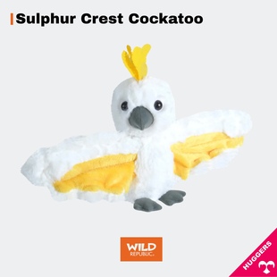 抱抱啪啪圈｜葵花凤头鹦鹉动物玩具正品 进口wildrepublic