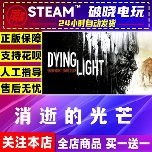 Steam正版游戏 消逝的光芒Dying Light决定版成品号 全新账户