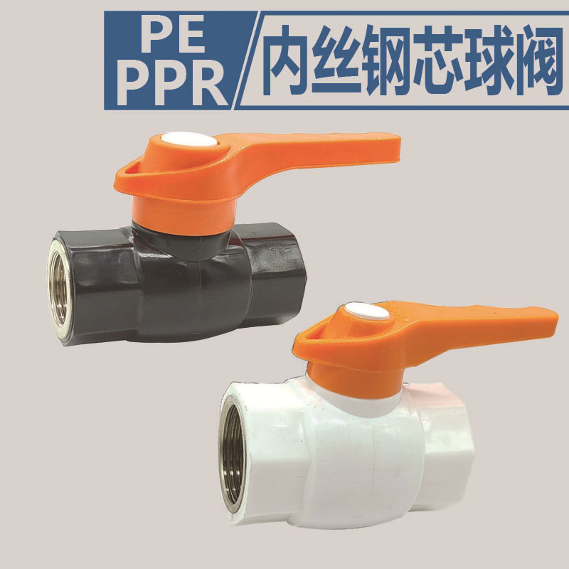 序号12 PE内丝球阀6分PPR阀门开关双头内丝钢芯2寸球阀热熔水管
