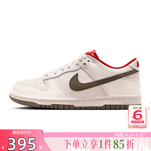 劲浪体育nike耐克大童鞋DUNK运动鞋休闲鞋IQ9793-020