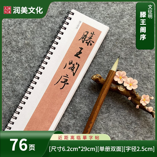 文征明文徵明行书滕王阁序古帖书法毛笔近距离对临字帖76页
